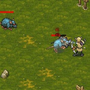 Royal Guard game photo 1