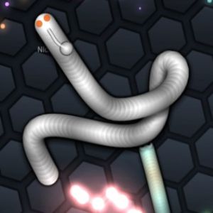 Slither Dünyası IO Oyunu oyunu foto 3