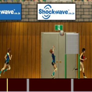 Voleibol juego foto 3