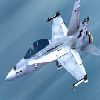 FA/18 Hornet: Hava Kuvvetleri