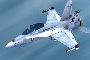 FA/18 Hornet : Air Force