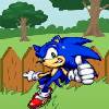 Sonic En el Jardín